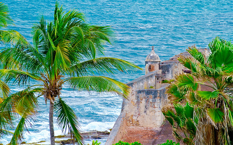 Palm trees and ocean in Puerto Rico